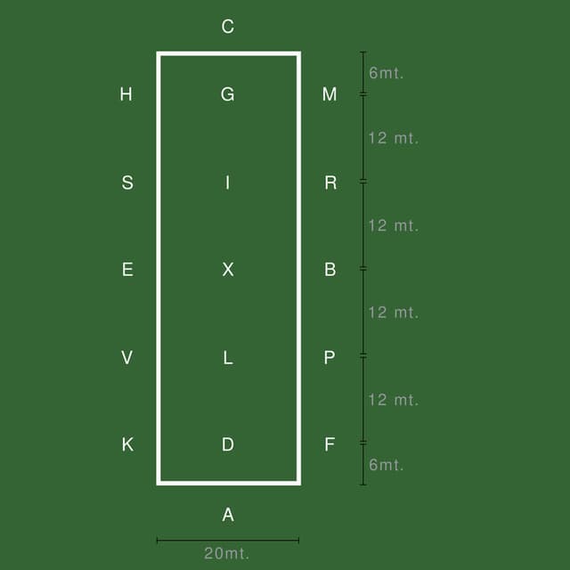 Rettangolo dressage 20x60 (Training)