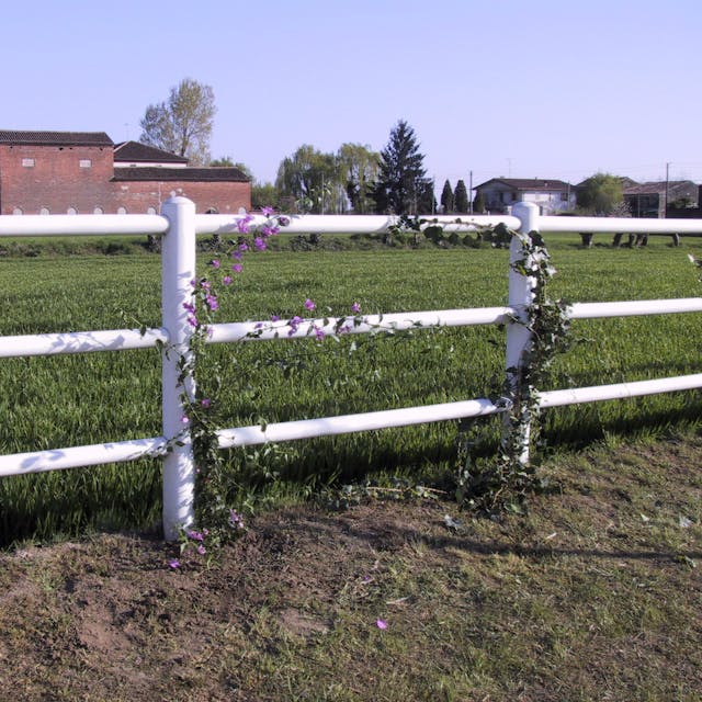 3-rail horse fence